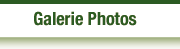 galeriephotos